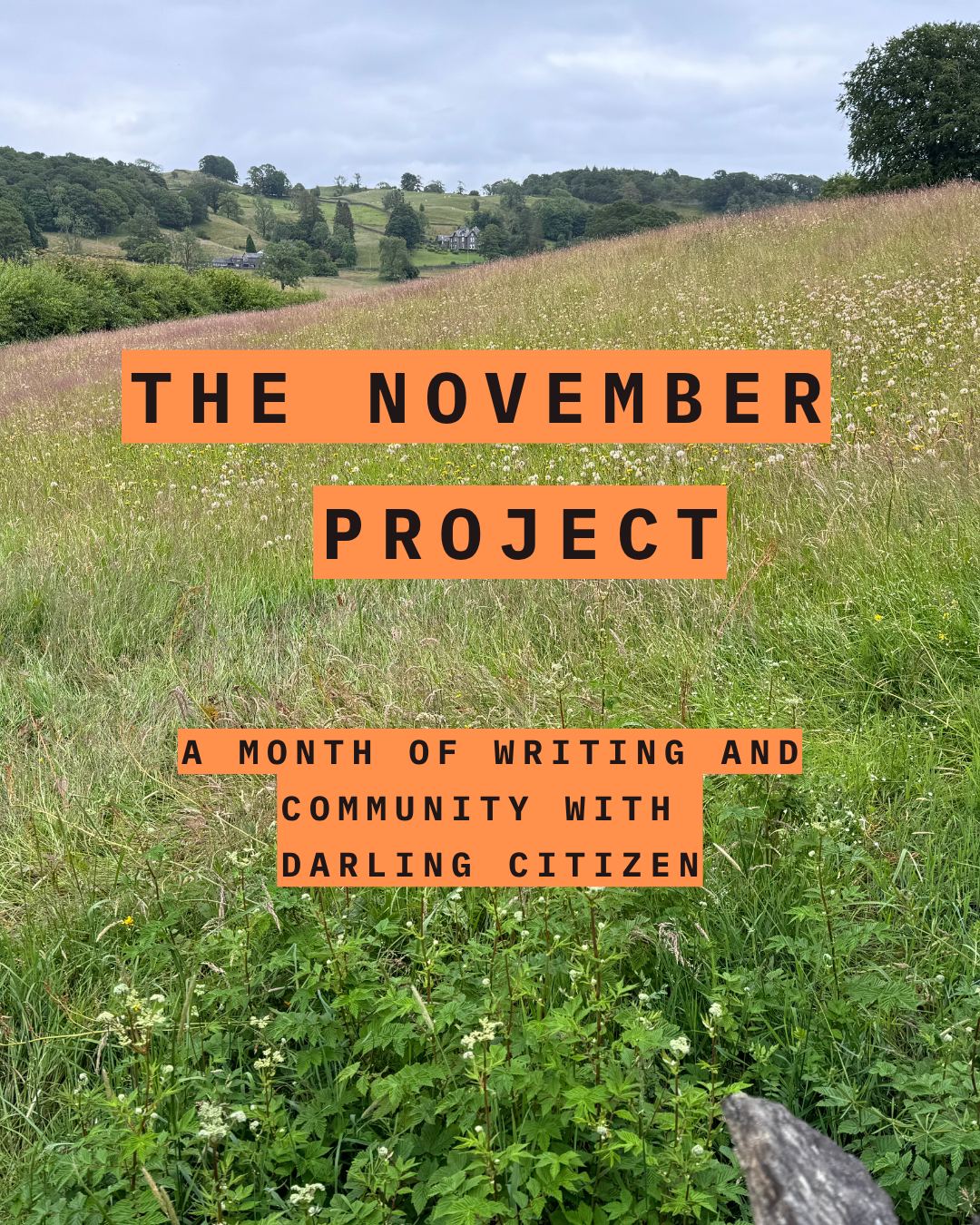 The November Writing Project - A month of writing with Darling Citizen
